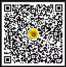 153104g90rvnhl66vi9o00.jpg